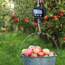 660lbs Digital Hanging Scale With Cast Aluminum Case, Handheld 300 Kg Mini Hanging Scale With Hook For Farm Hunting, Fishing And Outdoor Activities ( Batteries Not Included)