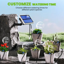 RAINTPOINT Solar Automatic Drip Irrigation Kit System, Solar Garden Watering System With 100% Anti-Siphoning Device, Easy DIY Plant Watering Controller With 6 Timing Modes For 10-15 Potted Plants (Withe-BSV-IC012)