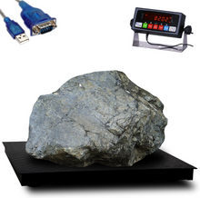 Prime Scales 24" x  24"  ( 2' x 2') 1000x0.02lb High Definition Floor Scale with PS-IN202 Indicator