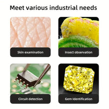 Digital Microscope, LCD Monitor Digital Coin Microscope 1000x, Coin Magnifier With 8 Adjustable LED Lights, PC View Compatible For Windows, DM4, 4.3in (Black And White)