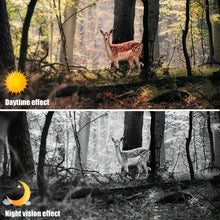 850nm Infrared Night Vision Goggles Hunting Binoculars 10X Zoom IR Record Camera