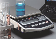 Rice Lake TS Series Toploader Washdown Balance Analytical Scale