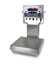 Rice Lake CW-90X Over/Under Washdown Checkweigher – EU 230 VAC