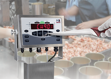 Rice Lake CW-90X Checkweigh Indicator EU IP69K Stainless Weight Controller