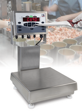 Rice Lake CW-90X Over/Under Washdown Checkweigher – EU 230 VAC