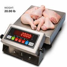 Prime Scales 9"x9" Bench Scale 20lb x 0.005 lb Stainless Steel Washdown NEW