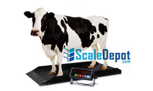 PS-4KCS-L 96" x 30' x 4" 4000lbs x 0.5lbs Livestock / Animal / Cattle  Alleyway Scale