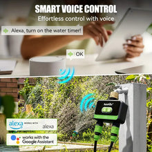 RainPoint Hose Timer For Garden Irrigation System 2 Outlet Brass Inlet, Smart Sprinkler Timer Watering Controller Automatic Watering System For Lawns And Yard, APP Control