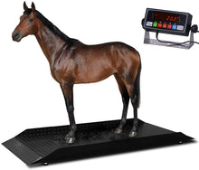 PS-4KCS-L 96" x 30' x 4" 4000lbs x 0.5lbs Livestock / Animal / Cattle  Alleyway Scale