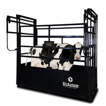 BizAutom LivestoX Caged Cattle Scale with Premium Indicator