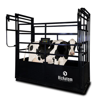 BizAutom LivestoX Caged Cattle Scale with Premium Indicator