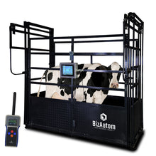 BizAutom LivestoX Caged Cattle Scale with Bio Microchip Thermometer and SCADA System