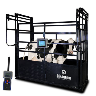 BizAutom LivestoX Caged Cattle Scale with Bio Microchip Thermometer and SCADA System