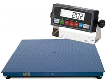 4' x 5' (48" X 60") 10 k lbs Platform Pallet Floor Scale with 1 ramp and PS-IN202  Indicator
