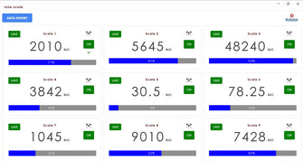BizAutom Nine-Scale Software: Comprehensive Real-Time Scale Monitoring Solution