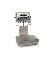 Rice Lake CW-90 Over/Under Checkweigher – EU Version