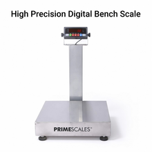 NTEP Certified Bench Scale 16"x20" SS Platform 500 lb x 0.1 lb