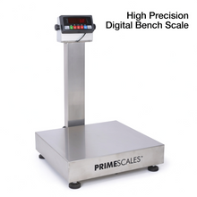 NTEP Certified Bench Scale 16"x20" SS Platform 500 lb x 0.1 lb