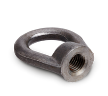 Rice Lake Eye Nut Drop Forged Steel Suspension Hardware Load Cell Mount