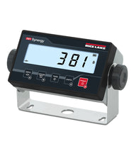 Rice Lake 380X Synergy Washdown Digital Weight Indicator IP69K Li-Ion Battery