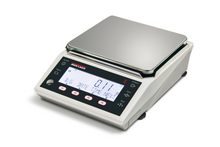 Rice Lake TE Enhanced Series Legal for Trade Precision Balance NTEP Certified
